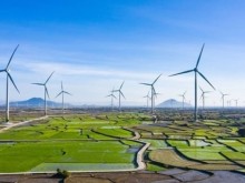 Image: Denmark accompanies Vietnam in green and sustainable energy transformation