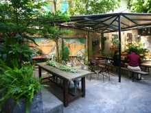 Image: Green coffee shop in the center of Hanoi