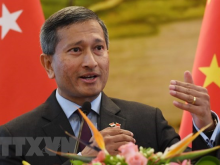 Image: Singapore commits to close cooperation with Vietnam to recover from Covid 19