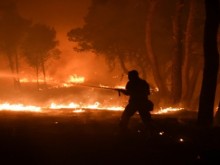 Image: Blaze Sweeps Through Athens Suburbs in Fifth Day of Greece Wildfires