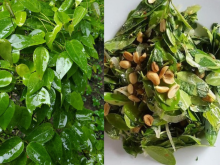 Image: Leaf salad changes taste over time