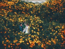 Image: The list of places to see wild sunflowers in Da Lat are amazingly beautiful, you should not miss it