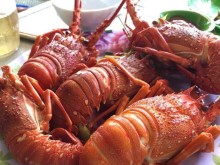 Image: List of famous seafood restaurants in Vung Ro that you should not miss