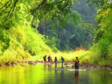Image: ‘Green lung of the Southeast’ - when tourism joins forest protection