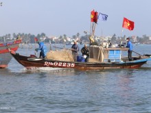 Image: Fishermen hit with herring