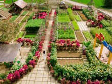 Image: Cooperative makes a beautiful rural garden to welcome guests to check-in