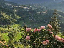 Image: Is the Sau Chua village the muse of Sapa, but why is it so beautiful and captivating! 