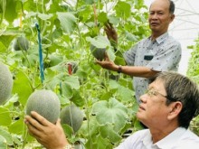 Image: Can Tho expects organic products to prosper in the Mekong Delta
