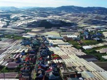 Image: Dalat set to zero out greenhouses in city center