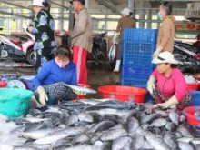 Image: Khanh Hoa to prepare for EC's removal of IUU 'yellow card'