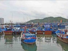 Image: EC visits Khanh Hoa over IUU fishing control