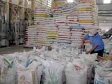 Image: Vietnam’s rice exporters see opportunities as Indonesia boosts imports