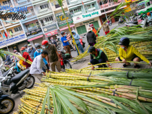 Image: Earn tens of millions in less than 24 hours thanks to the custom of buying golden sugar cane to worship God in Saigon