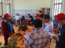 Image: Farmers bring Ngoc Linh ginseng to the exam