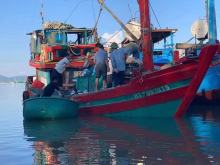 Image: Winning 3 tons of “sea fortune” gold fin, fishermen earned 600 million overnight