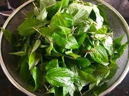 Image: Rau Day: The Nutrient-Rich 'Green Ginseng' of Vietnam