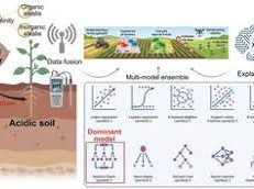 Image: AI Enhances Biochar Strategies for Acidic Soils