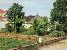 Image: Land Prices Plummet: Some Areas See 75% Drop in Six Months