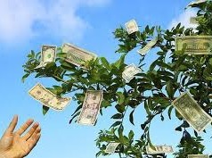Image: Sonadezi to Distribute 2,500 VND per Share Dividend