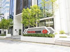 Image: Techcombank Plans 50% Dividend Distribution and Capital Increase