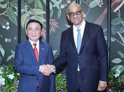 Image: Vietnam's Political Leadership Meets Singapore's President and Prime Minister