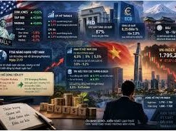 Image: Market Lacks Support as Investors Remain Cautious