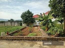 Image: Significant Decline in Land Prices Across Various Regions