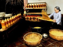 Image: Tuong: Vietnamese fermented soybean jam