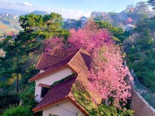 Image: Leaving Saigon, the couple went to Da Lat to build a house facing the valley, looking at the beautiful fairytale garden.