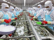 Image: Shrimp exporters eye over US$4 billion in export in 2021