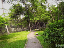 Image: Bach Thao Park A peaceful green heaven in the heart of Hanoi