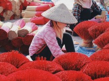 Image: Tickle me pink: exploring Hanoi’s incense village
