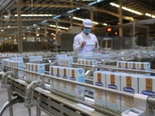 Image: Two more Vietnamese dairy producers licensed to export to China
