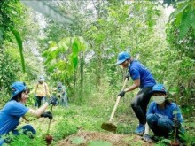 Image: Vietnam to plant 1 billion new trees to cope with climate change, natural disasters