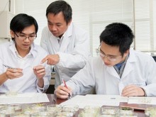 Image: Vietnamese scientist in Japan discovers invasive plant’s health benefits