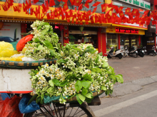 Image: Bored of tomorrow, bored with peaches, Ha Noi people “change the wind” to buy flowers in the countryside