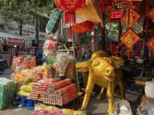 Image: Flower market in the old town shows buffalo for Tet