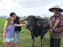 Image: Hoi An buffalo tours Unique and amazing experience for foreigners