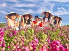 Image: Virtual living corners in the ‘paradise’ of Four Seasons flower garden in Dong Nai