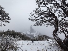 Image: Visitors flock to Fansipan to admire the dense snowfall like Europe