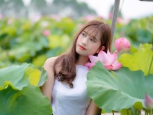 Image: Go back to Bac Giang to admire the beautiful lotus season, check-in Quang Chau lotus