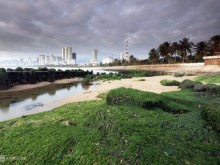 Image: Green moss beach in Nha Trang attracts visitors