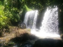 Image: Journey to discover Waterfall Rang Dong Nai with a wild beauty that few people know