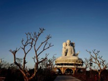 Image: A unique population of the Great Buddha at Thien Duc Park