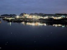 Image: Vibrant nightlife at fish market in Bai Tu Long Bay