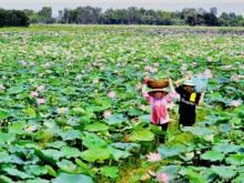 Image: Embassy of Bulgaria funds a Vietnamese project of Lotus an opportunity for rural women s development