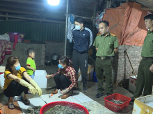Image: Food factory in Hanoi caught injecting prawns with filler before shipping