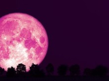 Image: Saigon people are fascinated by the most beautiful and magical Super Pink Moon in 2021