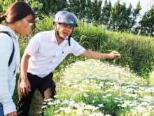 Image: The boy who grows flowers for “virtual life” collects millions of money every day