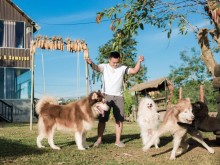 Image: 9X boy left the street to his hometown to become a billionaire by raising dogs